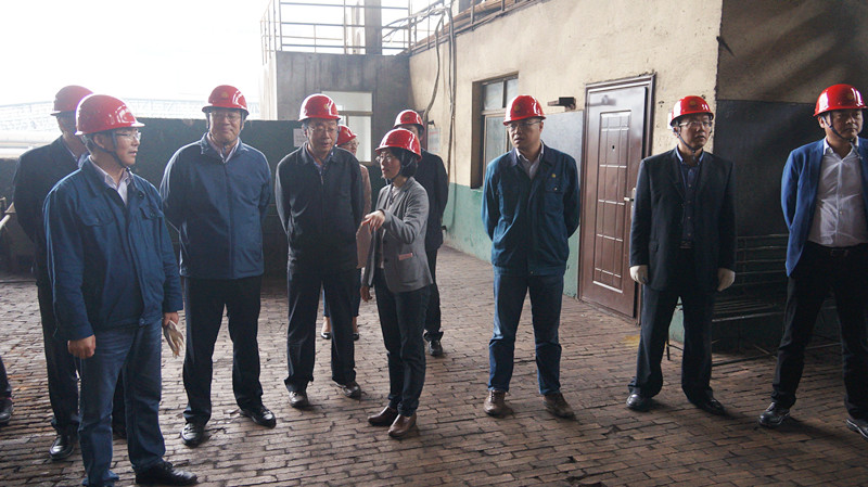 副省長馬秋林來我公司調(diào)研